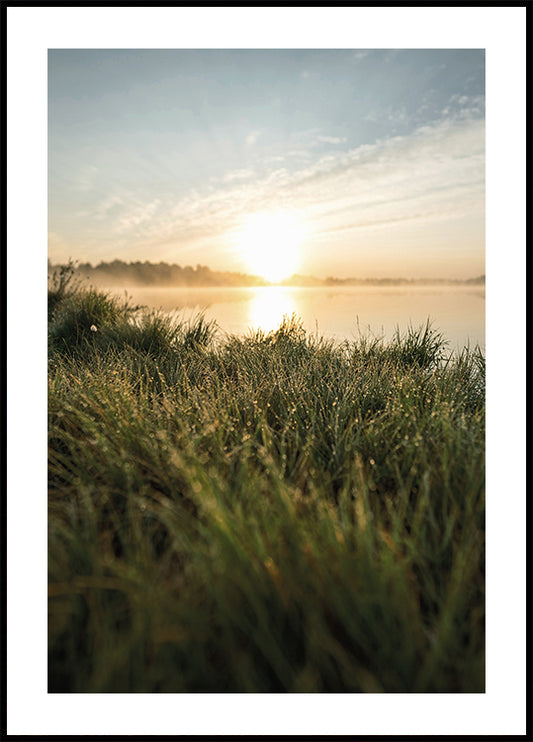 Dewy Dawn by the Lake Plakat