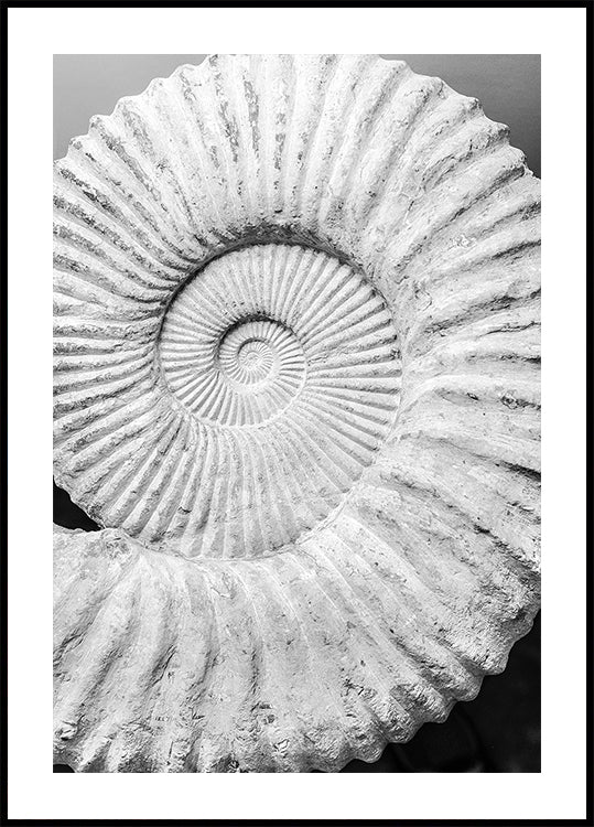 Ancient Spiral Dreams Plakat