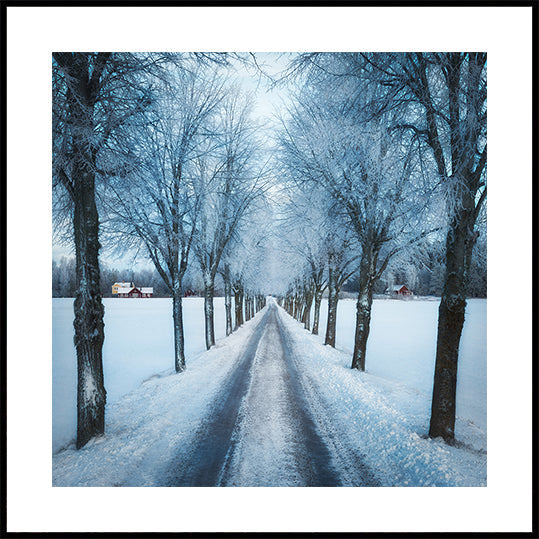 Swedish winter Plakat