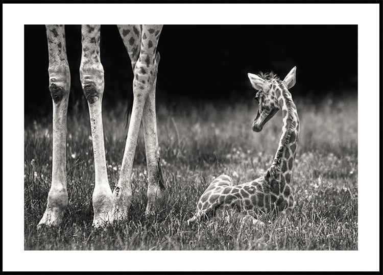 well protected Plakat