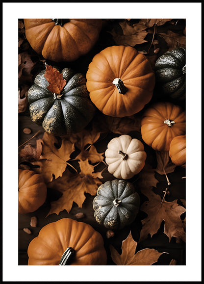 Autumn Pumpkins and Leaves Plakat