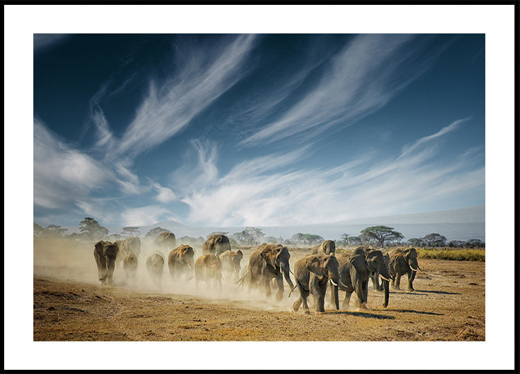 A very long thinking Plakat