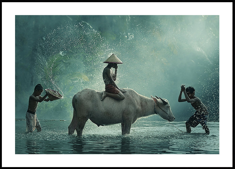 Water Buffalo Plakat