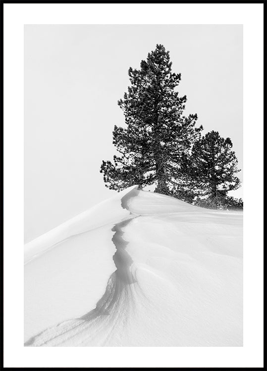 About the snow and forms Plakat