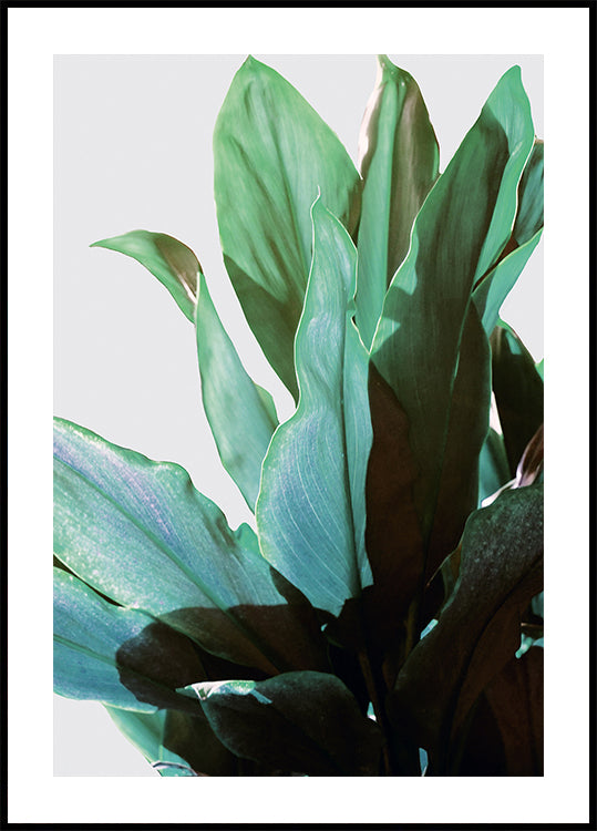 Green Leaves Plakat