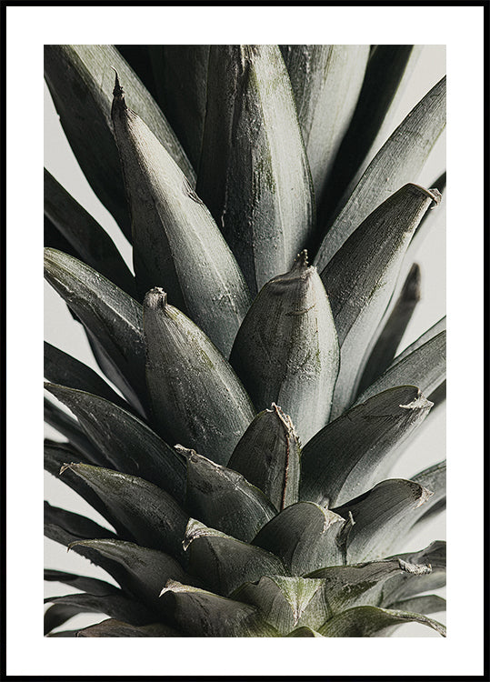 Pineapple close up Plakat