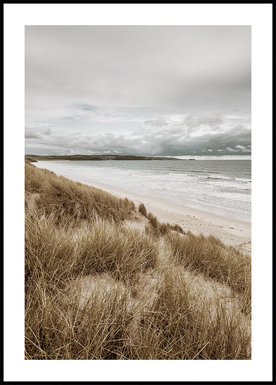 Grass On The Beach Plakat