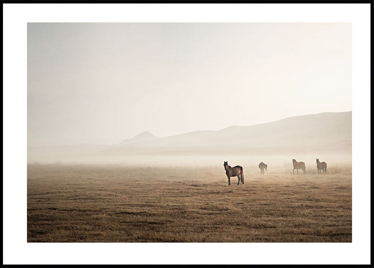 Horses in The Fog Plakat