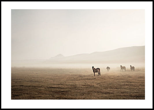 Horses in The Fog Plakat