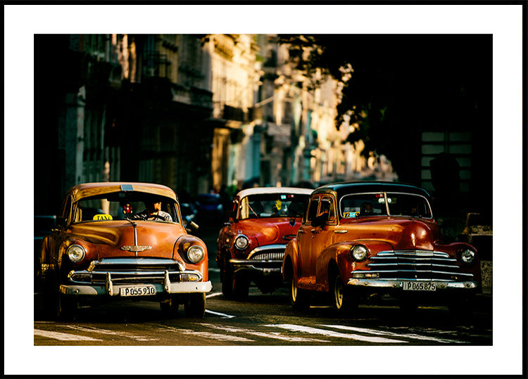 Come with me in the morning light Plakat