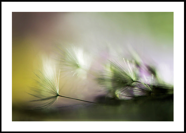 In the morning Plakat