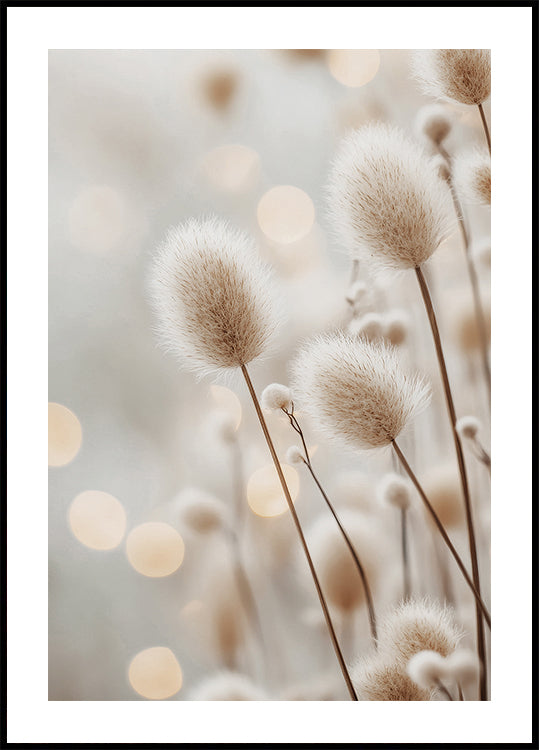 Fluffy Plant Stems Plakat