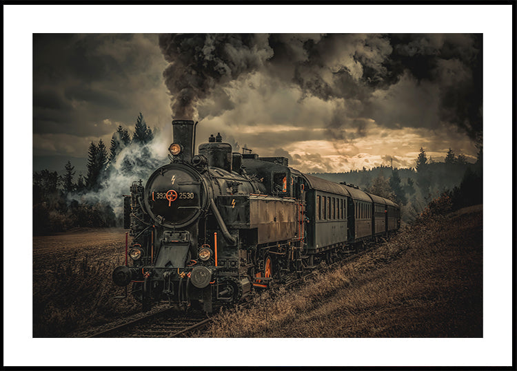 Gold digger train Plakat