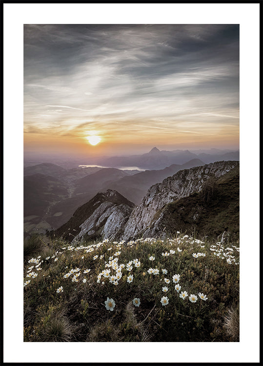 Sunrise Over Mountain Wildflowers Plakat