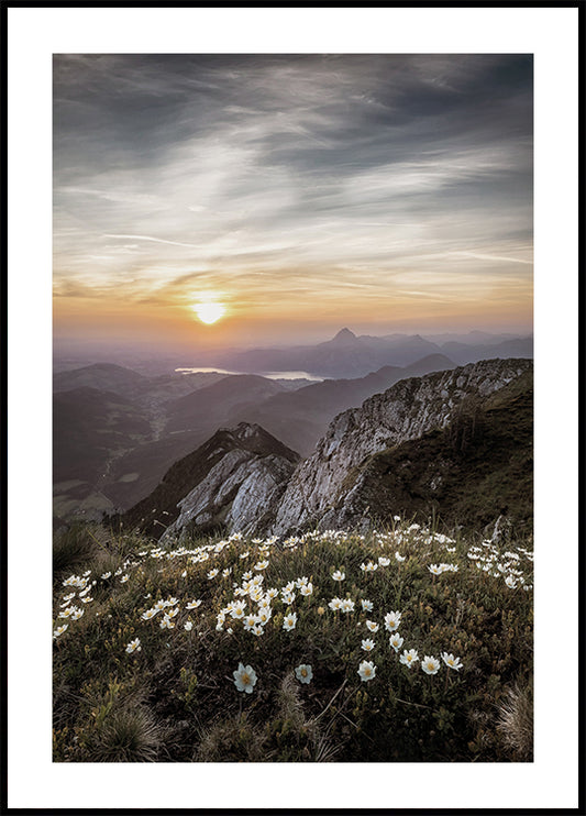 Sunrise Over Mountain Wildflowers Plakat