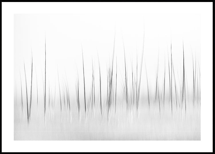 Wintry scenery in Yellowstone Plakat