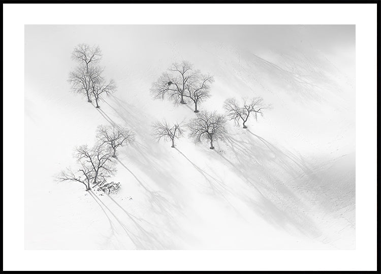 Winter dream - a still ballet Plakat