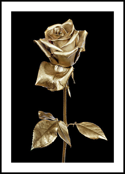 Golden Rose Art Plakat