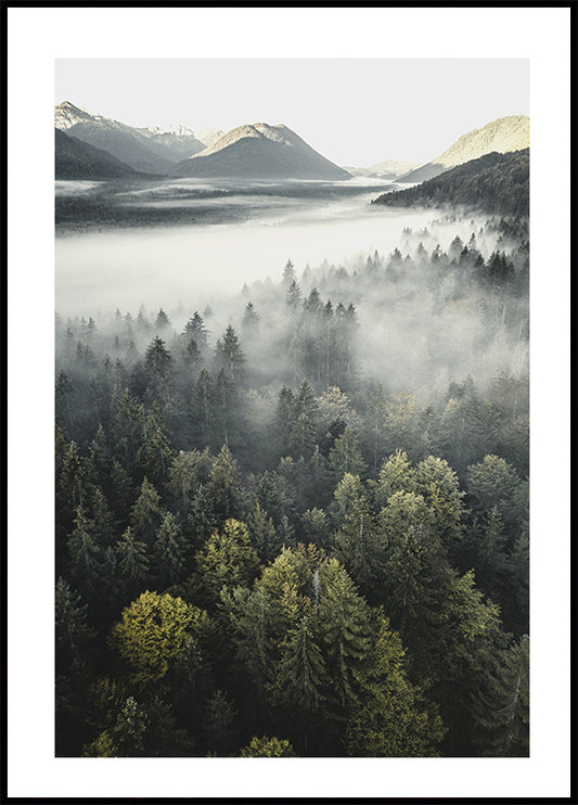 Misty Mountain Plakat