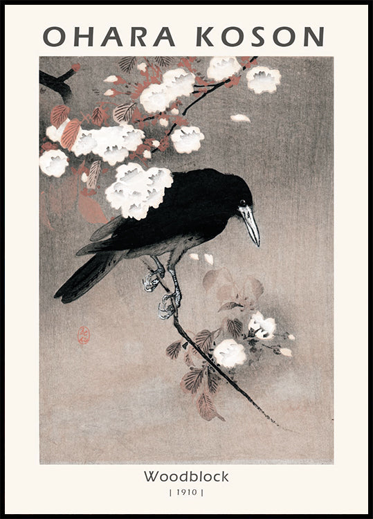 Woodblock, Crow on Cherry Blossom Branch By Ohara Koson Plakat