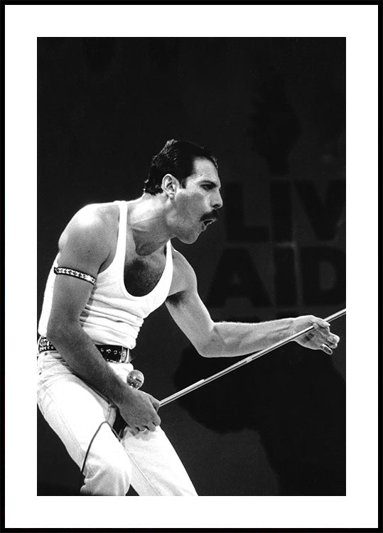 Freddie Mercury on Stage Plakat