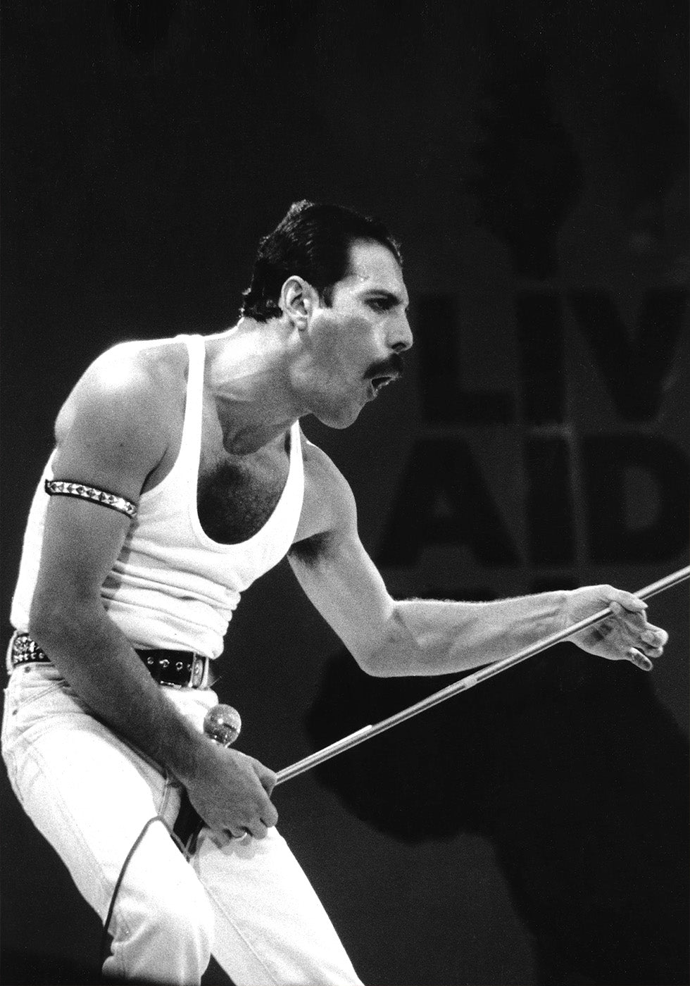 Freddie Mercury on Stage Plakat