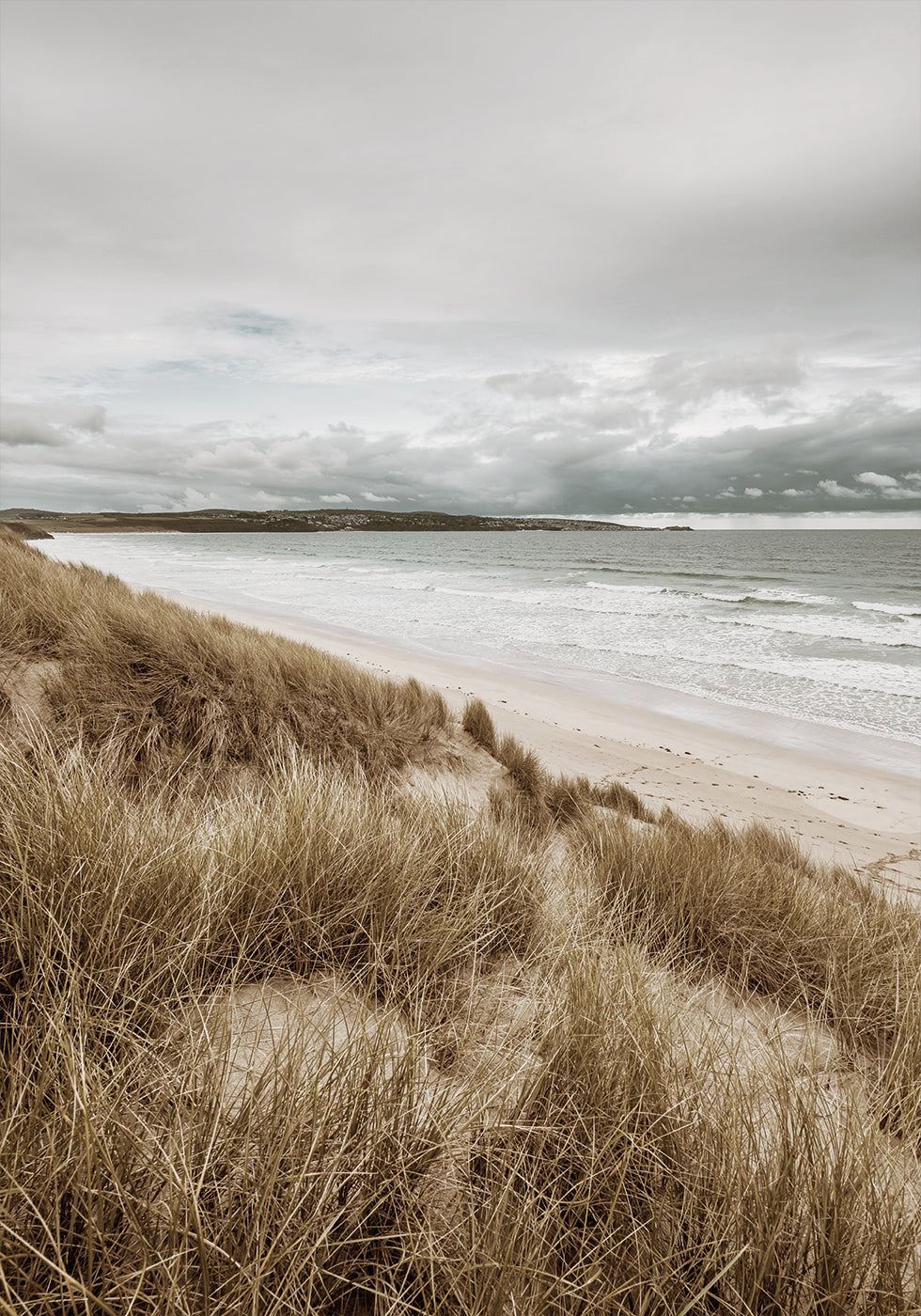 Coastal Dune Serenity Plakat