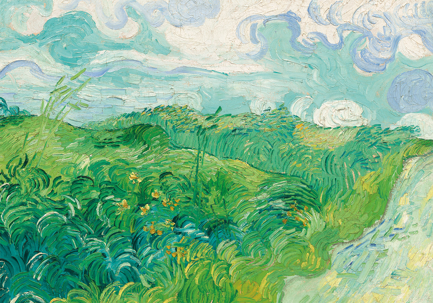 Green Wheat Fields Auvers By Vincent van Gogh Plakat