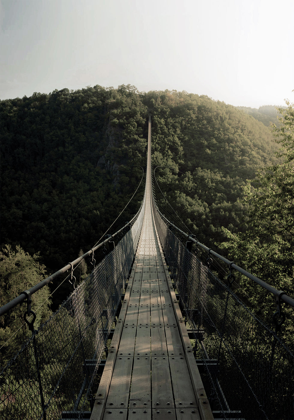 Hanging Bridge Plakat