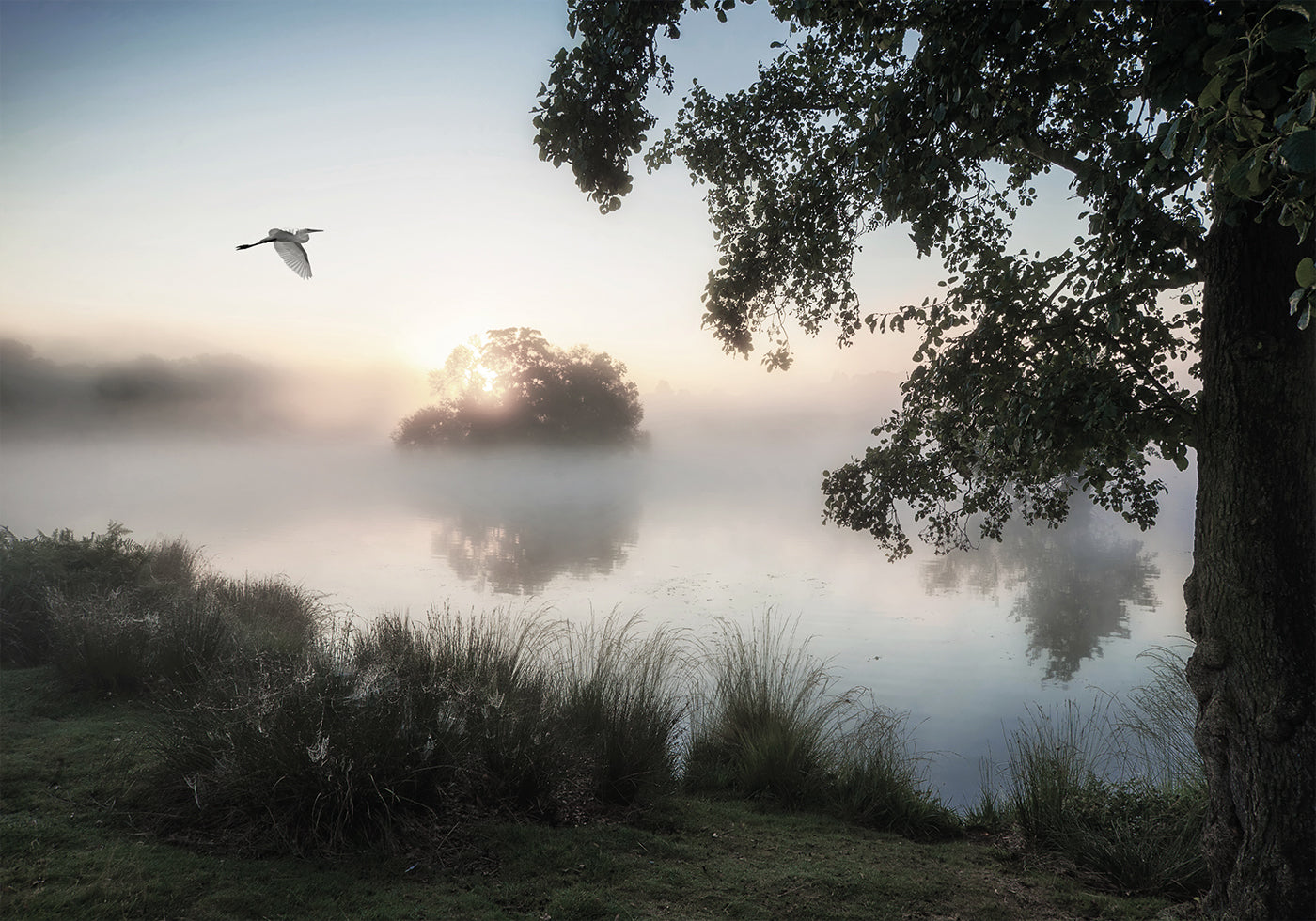 Heron Flying Over a Foggy Lake Plakat