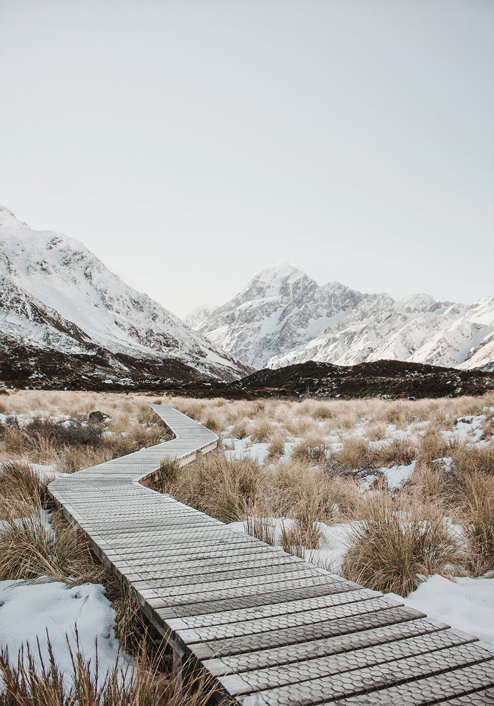 Hooker Valley Track Plakat