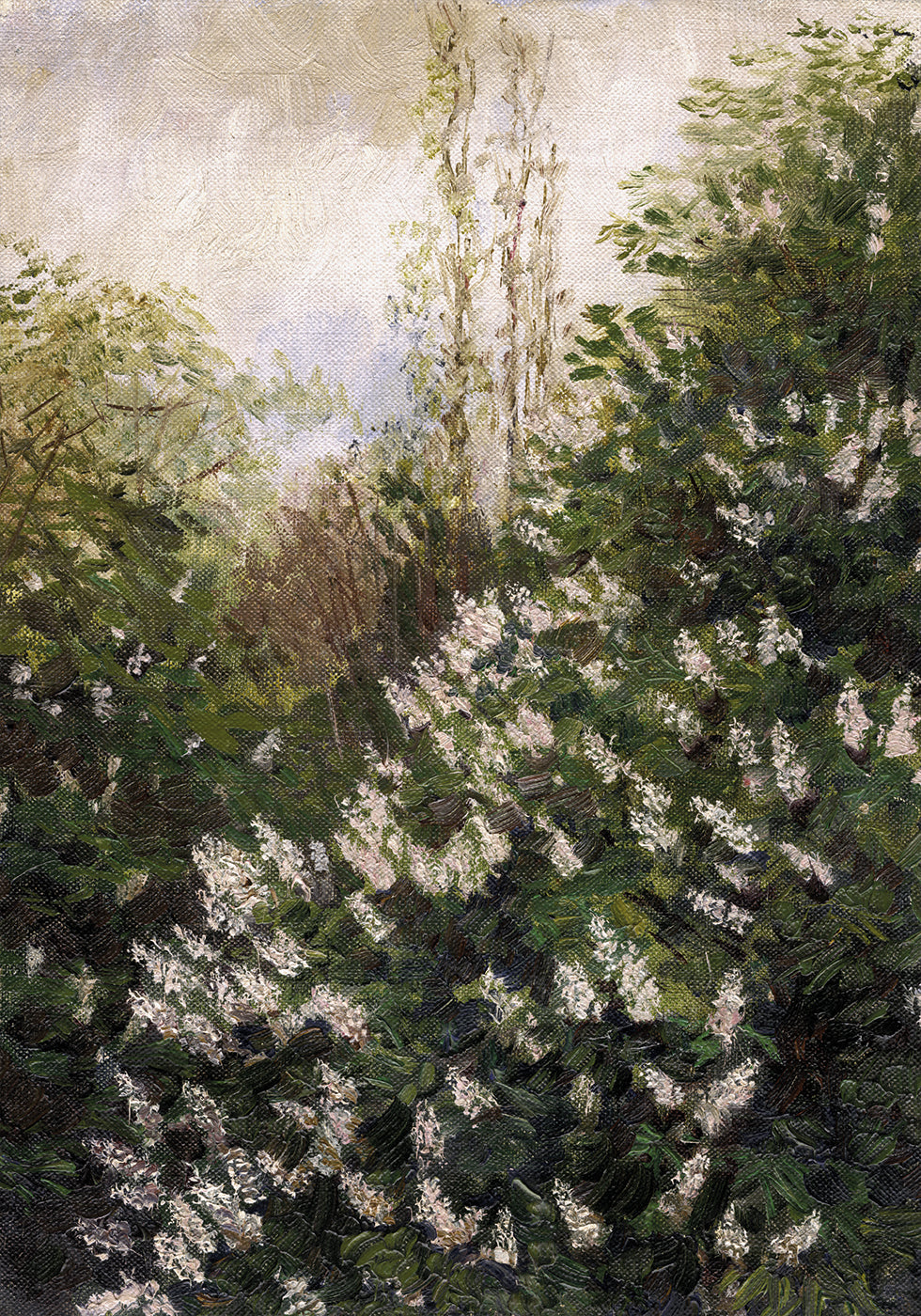 Lilac Blossoms by Ladislav Mednyánszky Plakat