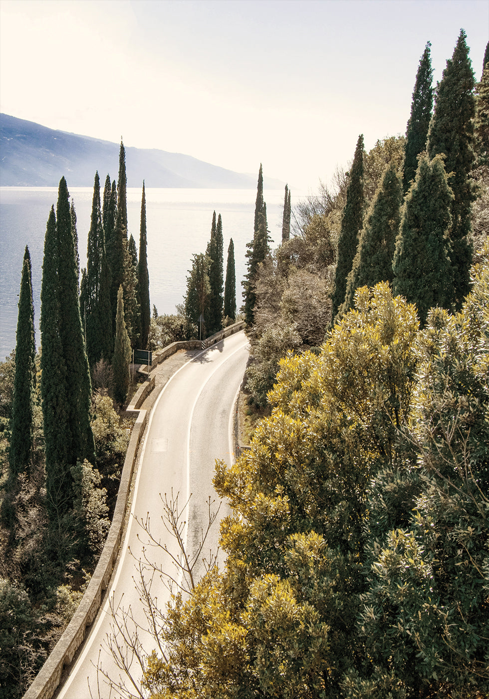 Road Along Lake Garda Plakat