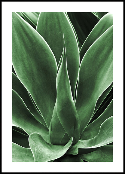 Green Leaf Detail Plakat