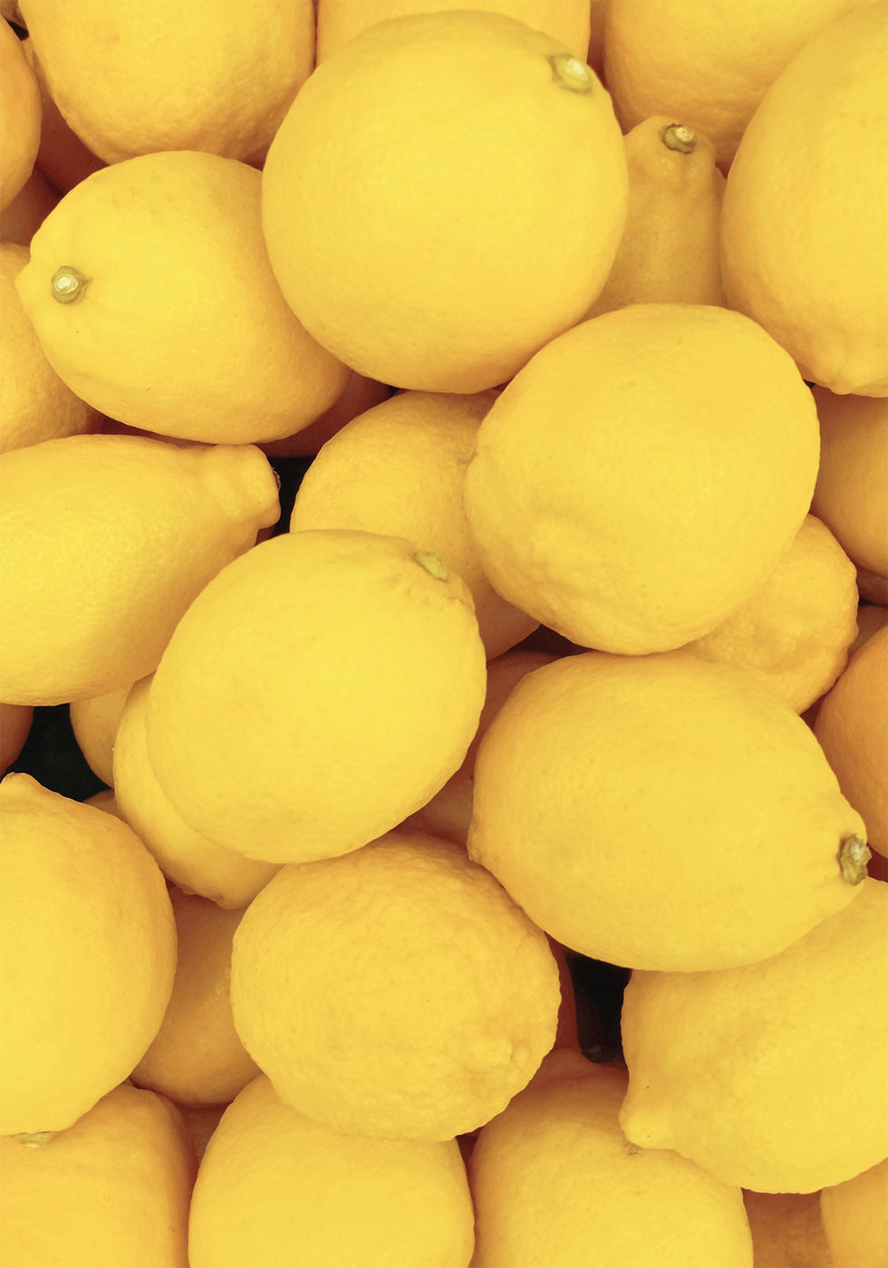 Lemons Plakat