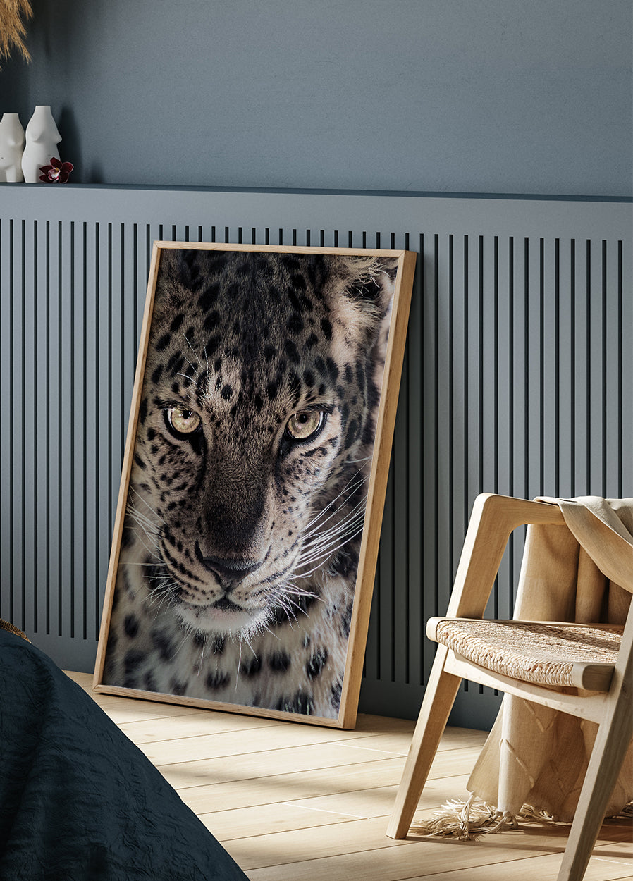 Leopard Plakat