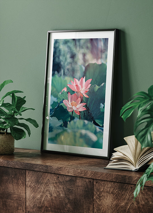 Blooming Lotus Flower Plakat