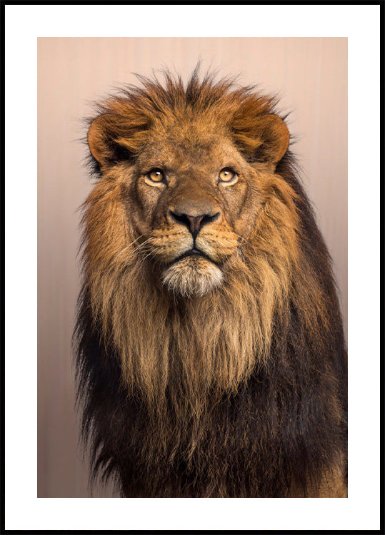 Majestic Lion Plakat