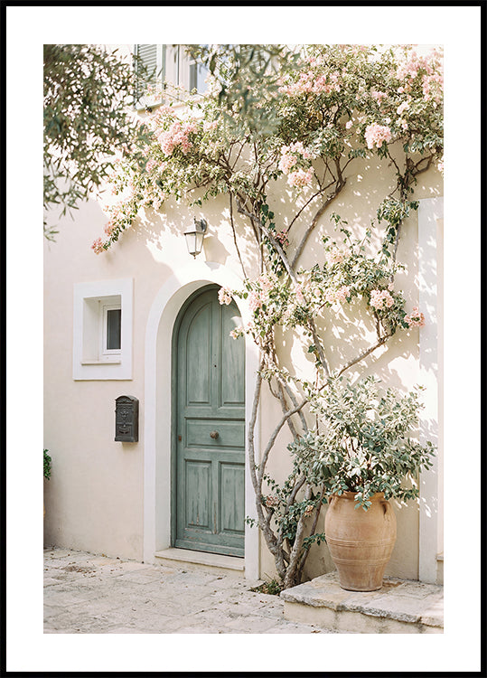 Mediterranean Door Plakat
