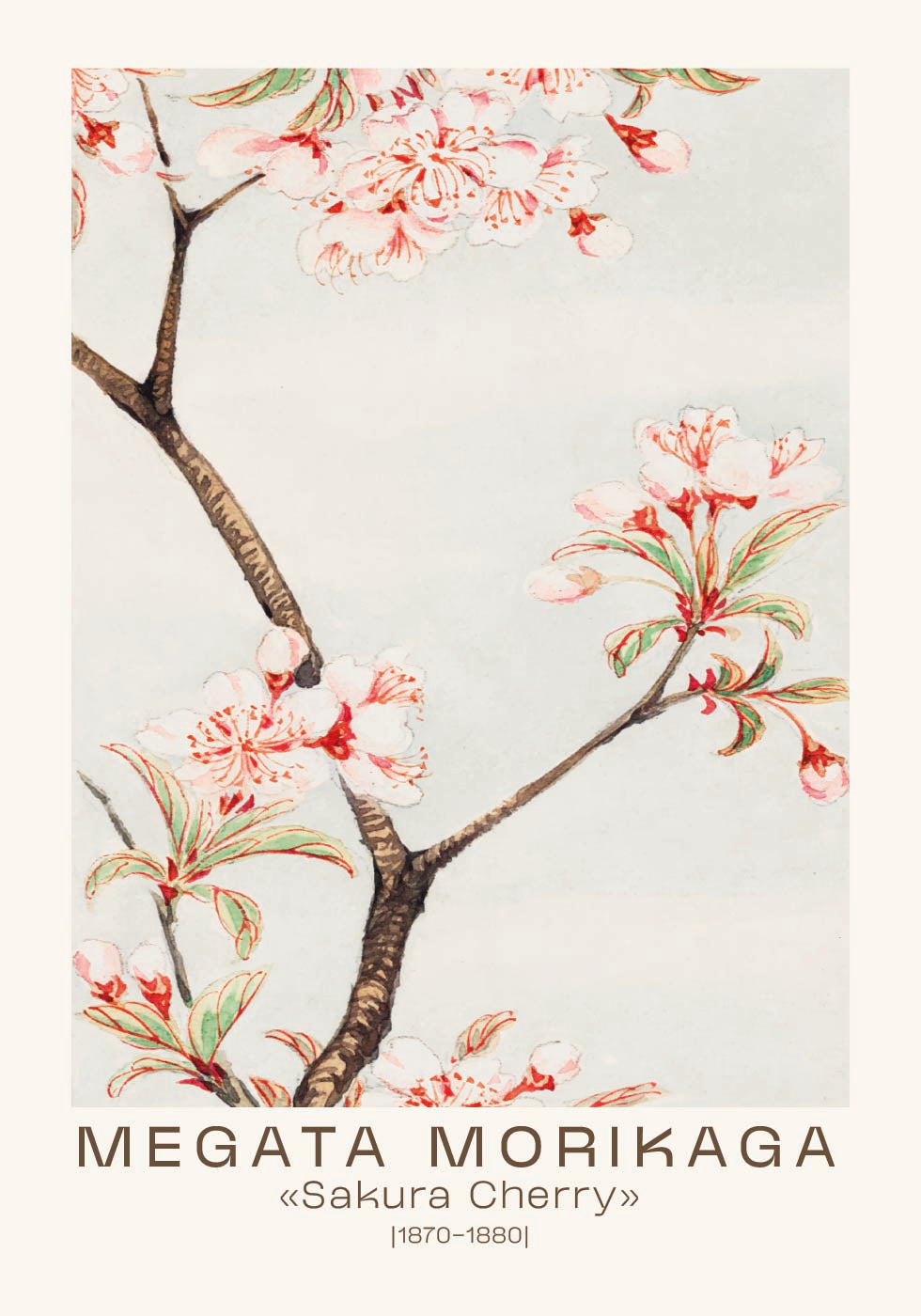 Sakura Cherry Japanese Blossom, Megata Morikaga 1870–1880 Plakat