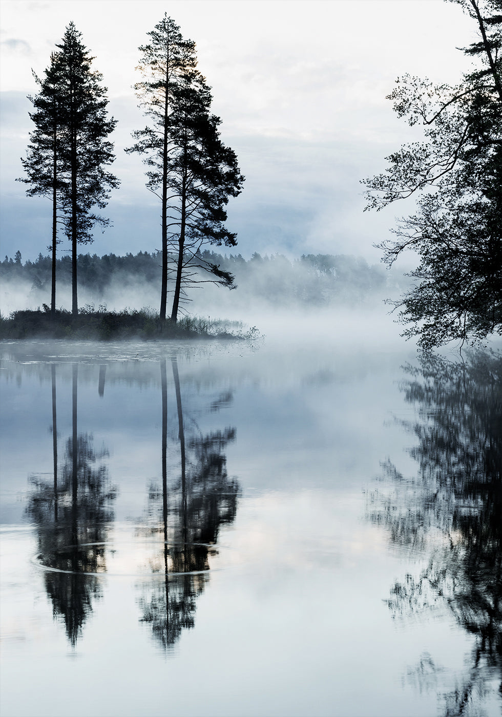 Misty Forest Morning Plakat
