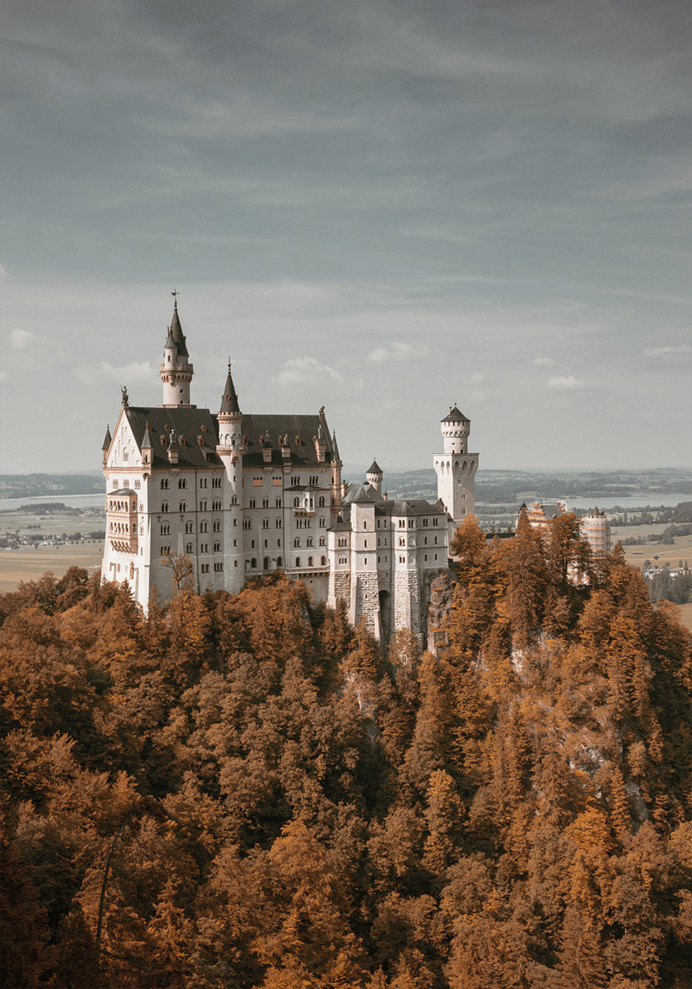 Neuschwanstein Castle in the Fall Plakat