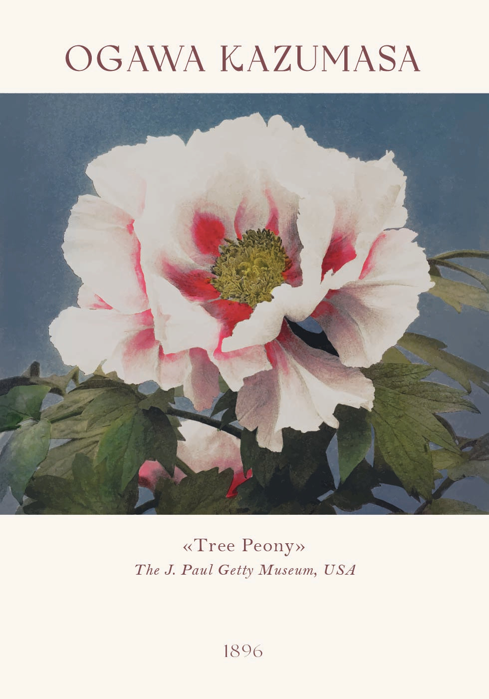 Tree Peony, Ogawa Kazumasa Foral Plakat