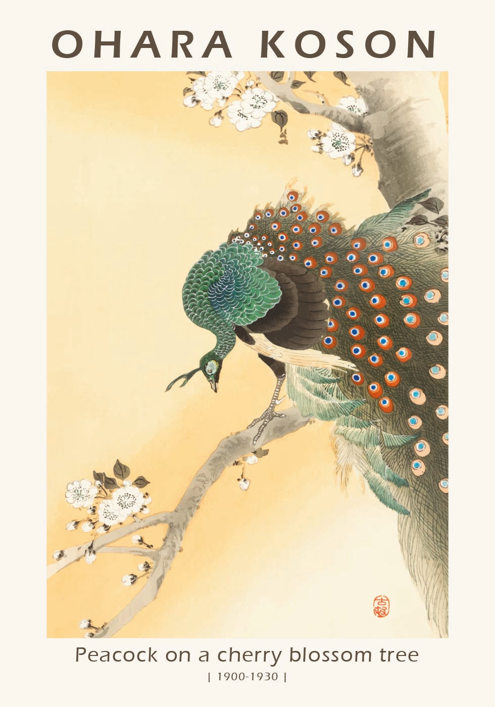 Peacock on a Cherry Blossom Tree, Japanese Woodblock By Ohara Koson Plakat