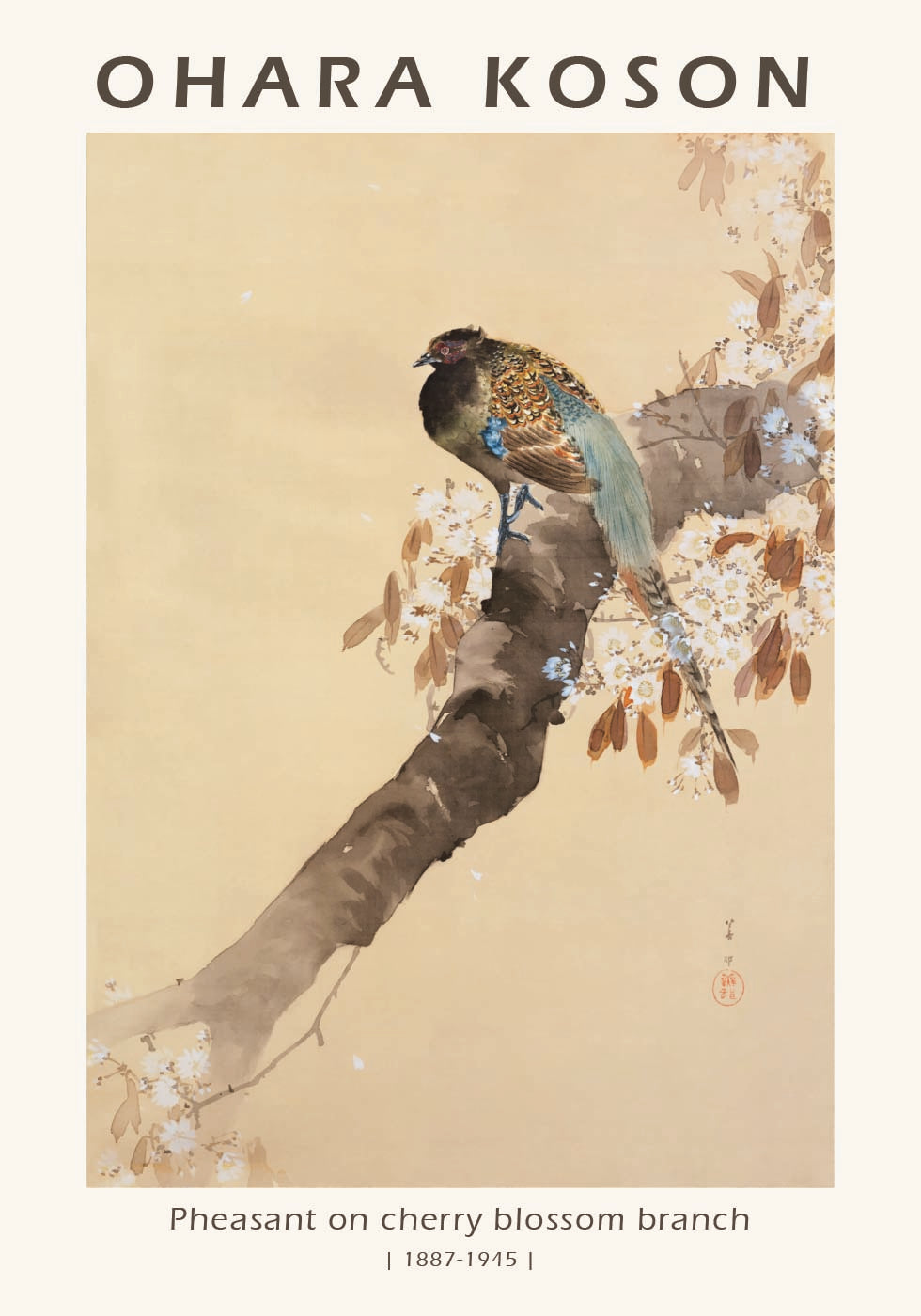Pheasant on Cherry Blossom Branch, Japanese Woodblock By Ohara Koson Plakat