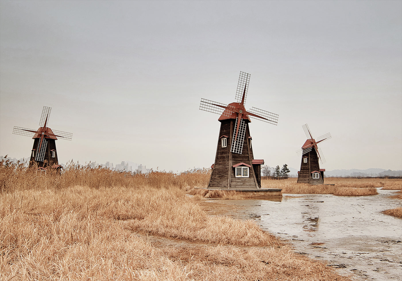 Old Windmills in the Countryside Plakat