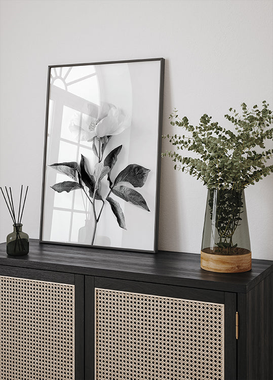 Peony B&W Plakat