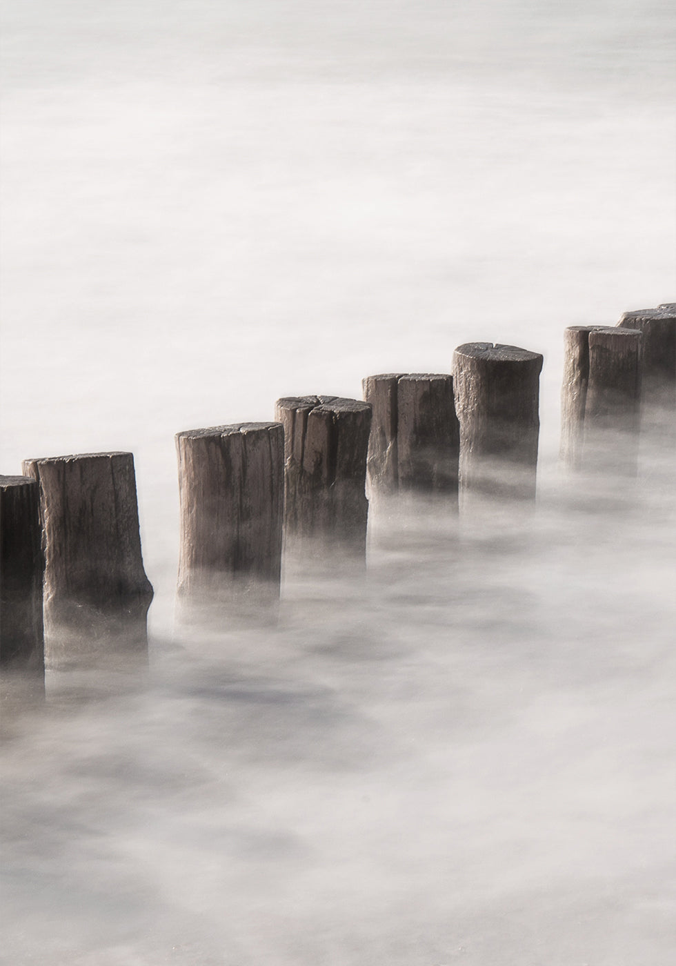 Piles In A Thick Fog Plakat