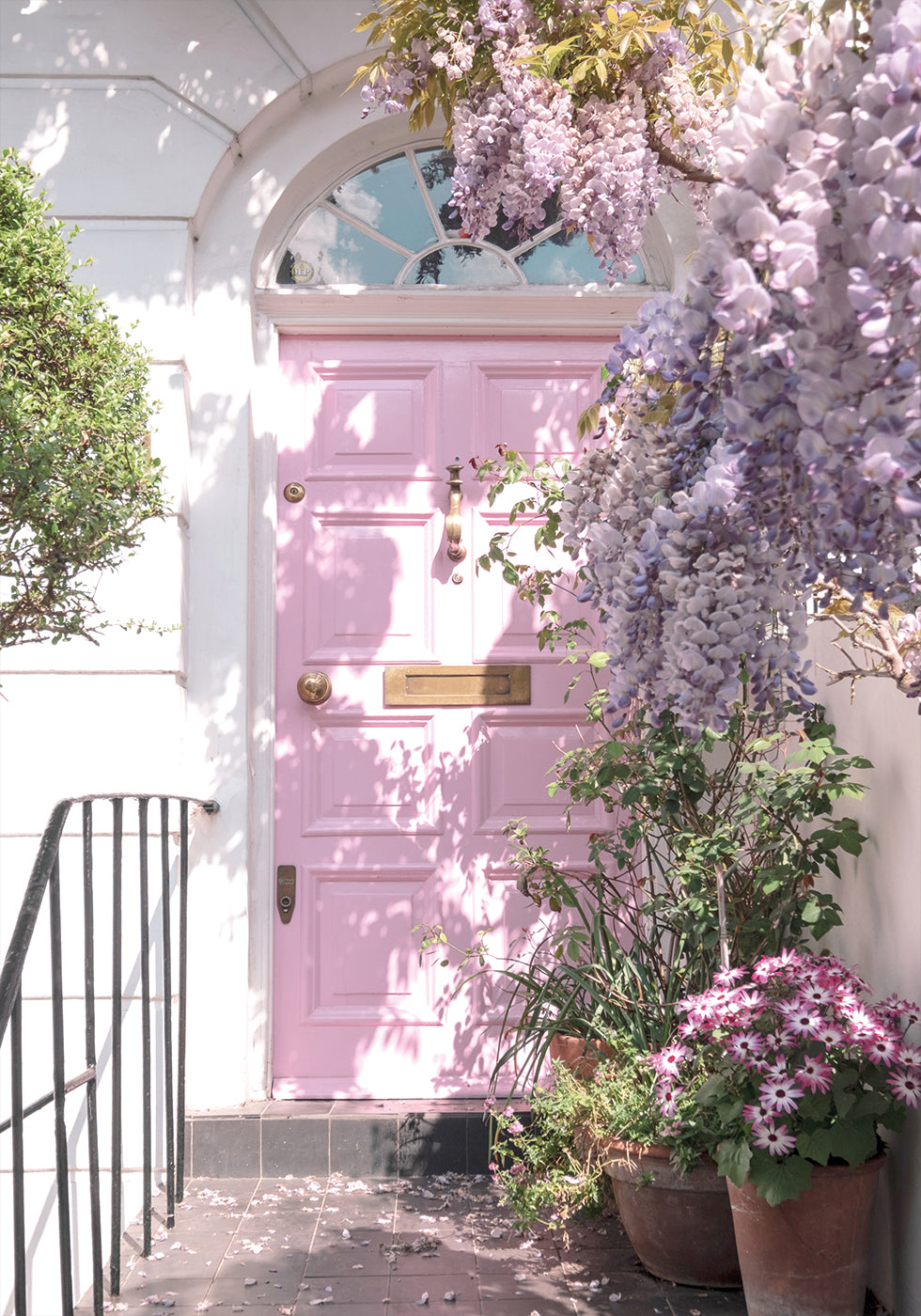 Pink Door with Flowers Plakat