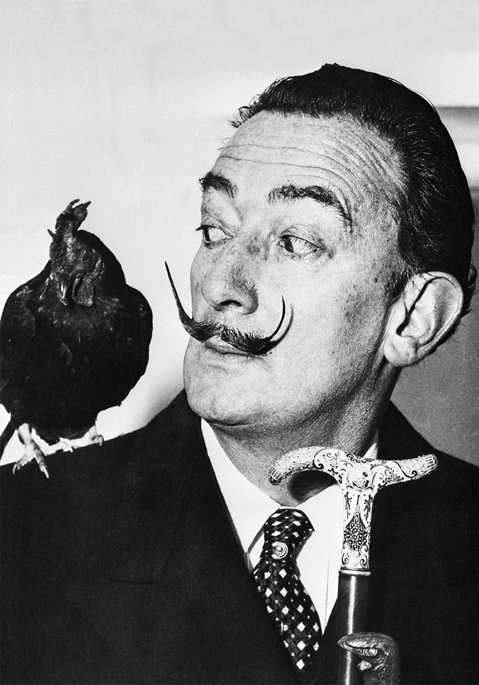 Salvador Dali with Rooster Plakat